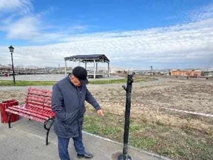 Новые архитектурные формы в Кызыле: светящиеся деревья в сквере Рушевых