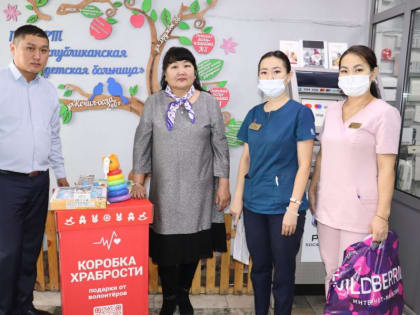 Депутаты Тувы собрали подарки ко Дню ребенка в "Коробку храбрости" и передадут маленьким пациентам больницы