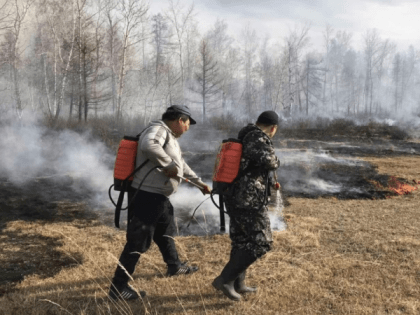 В Туве до 2 августа продлили особый противопожарный режим