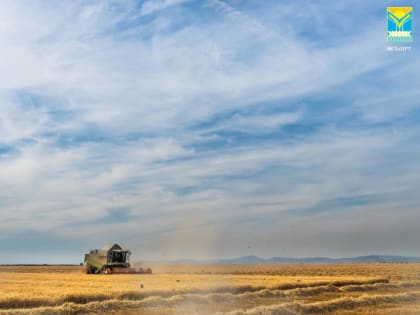 Тувинские фермеры смогут арендовать земли сельхозназначения без торгов