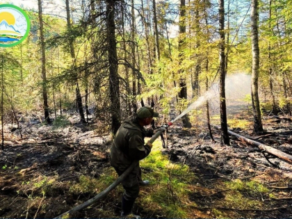 В Туве после снижения числа лесных пожаров снят режим ЧС