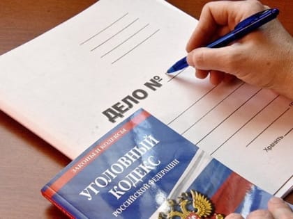 Житель Тувы осужден за угон табуна лошадей