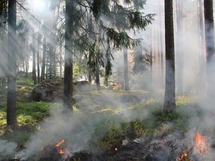 Рослесхоз спрогнозировал высокую вероятность пожаров в апреле в Туве
