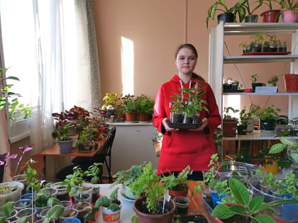 Красота и здоровье. Ботанический сад ТувГУ вырастил комнатные цветы для учебных корпусов и общежитий вуза