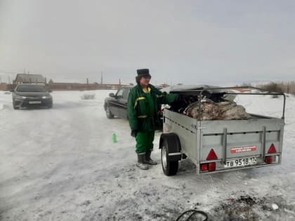 В Кызыле обнаружили нелегальный скотомогильник