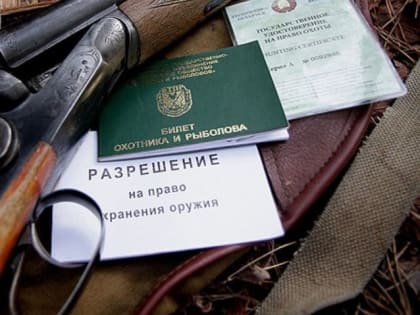 В 2025 году увеличится госпошлина за лицензию на приобретение оружия