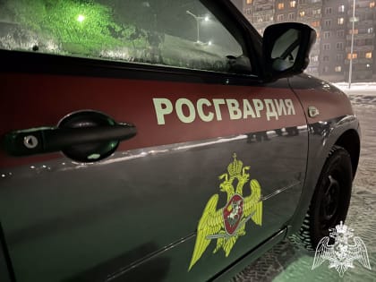 Росгвардейцы задержали подозреваемого в краже жителя Тувы