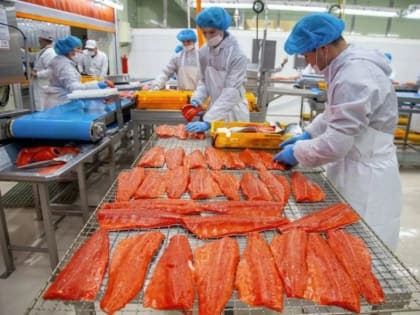 Жители Тувы на Всероссийской ярмарке трудоустройства могут устроиться на рыбзаводы Камчатки