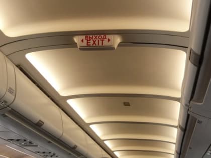 Петербургские врачи, летевшие в Туву, спасли пассажира во время полета