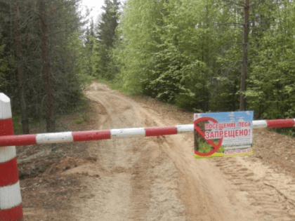 В Туве ввели особый противопожарный режим, ограничив посещение лесов