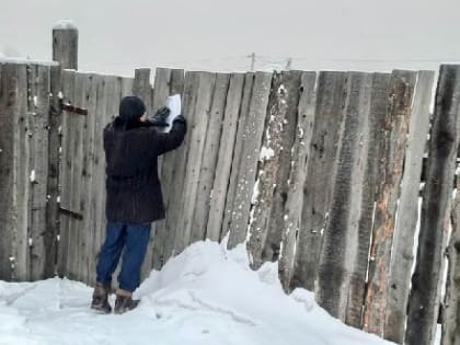 НА 385 ТЫСЯЧ РУБЛЕЙ ОШТРАФОВАНЫ ЖИТЕЛИ ЗА СОБАК НА СВОБОДНОМ ВЫГУЛЕ