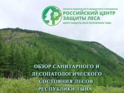 Анализ санитарного состояния лесов Республики Тыва за 2024 год