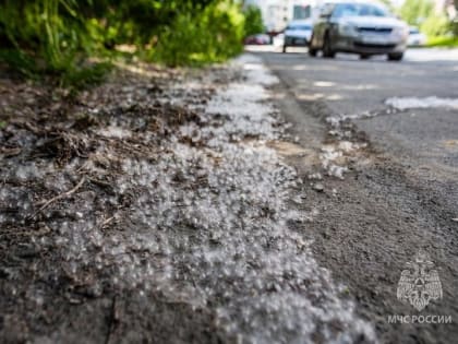 В Кызыле после поджога тополиного пуха огонь пришлось вызвать пожарных