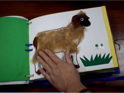 Жителей Тувы приглашают на конкурс по созданию тактильных книг