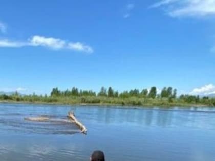 В Улуг-Хемском районе Тувы утонула 12-летняя девочка