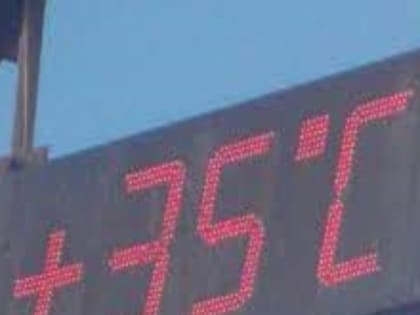 Завтра в Туве ожидается до +37°С