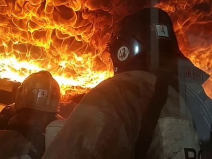 Стaтистика пожаров в Туве за нeделю