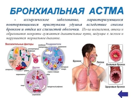 1-7 мая 2023 года - Неделя сохранения здоровья легких (в честь Всемирного дня по борьбе с астмой 2 мая)