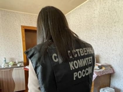 Жителя Тувы будут судить за убийство новорожденного сына