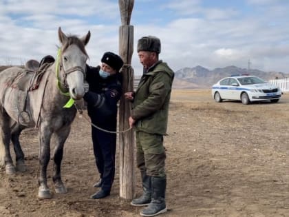 В Туве борются с бесконтрольным выпасом скота