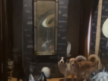 Службой приняты меры в отношении одного из собственников квартир, использовавшего жилые помещения не по назначению