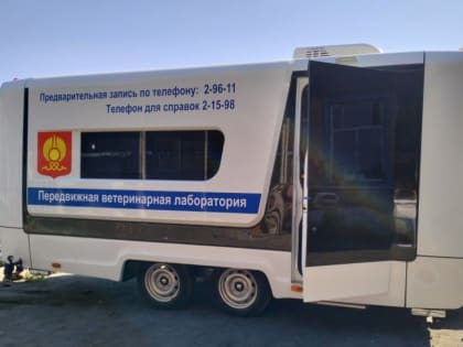 Передвижная ветлаборатория Мэрии Кызыла бесплатно стерилизует домашних животных в разных микрорайонах столицы