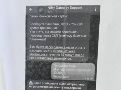 Житель Тувы при попытке заработать на продажах цифрового искусства перечислил более 60 тысяч рублей мошенникам