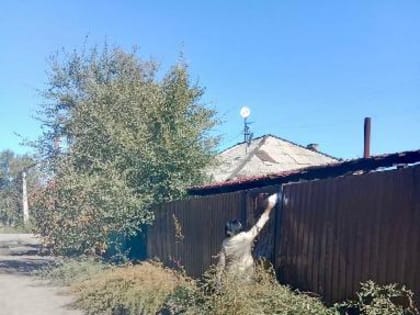 Очистка прилегающих территорий: ответственность владельцев