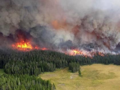 Тува готовится к пожароопасному периоду, прогнозируется до 87 крупных лесных пожаров