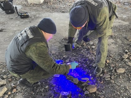 В Республике Тыва местный житель признан виновным в совершении убийства отца с особой жестокостью