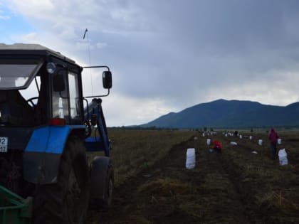 УФСИН в Туве планирует в этом году выйти со своей сельхозпродукцией на рынок республики