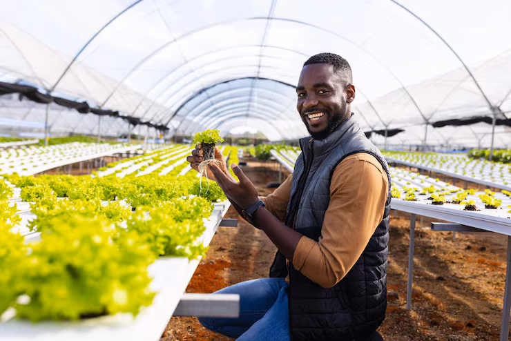Unidade de Processamento Agroalimentar
