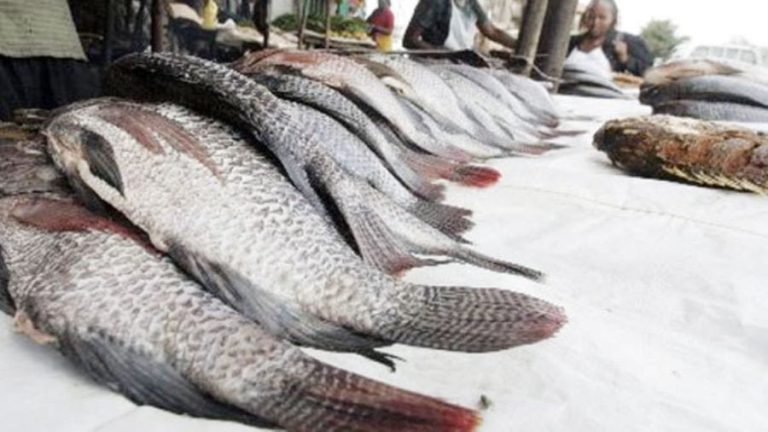 Fisheries Infrastructure Modernization Project
