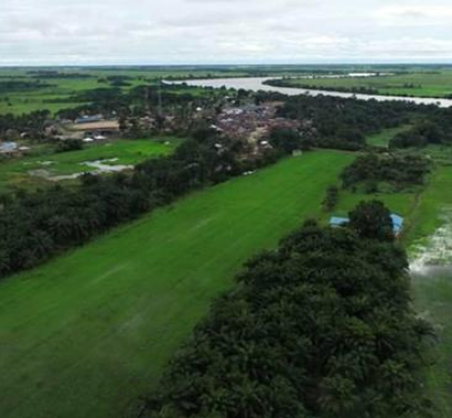Torma Bum Rice Complex – Large-Scale Rice Cultivation and Processing Facility