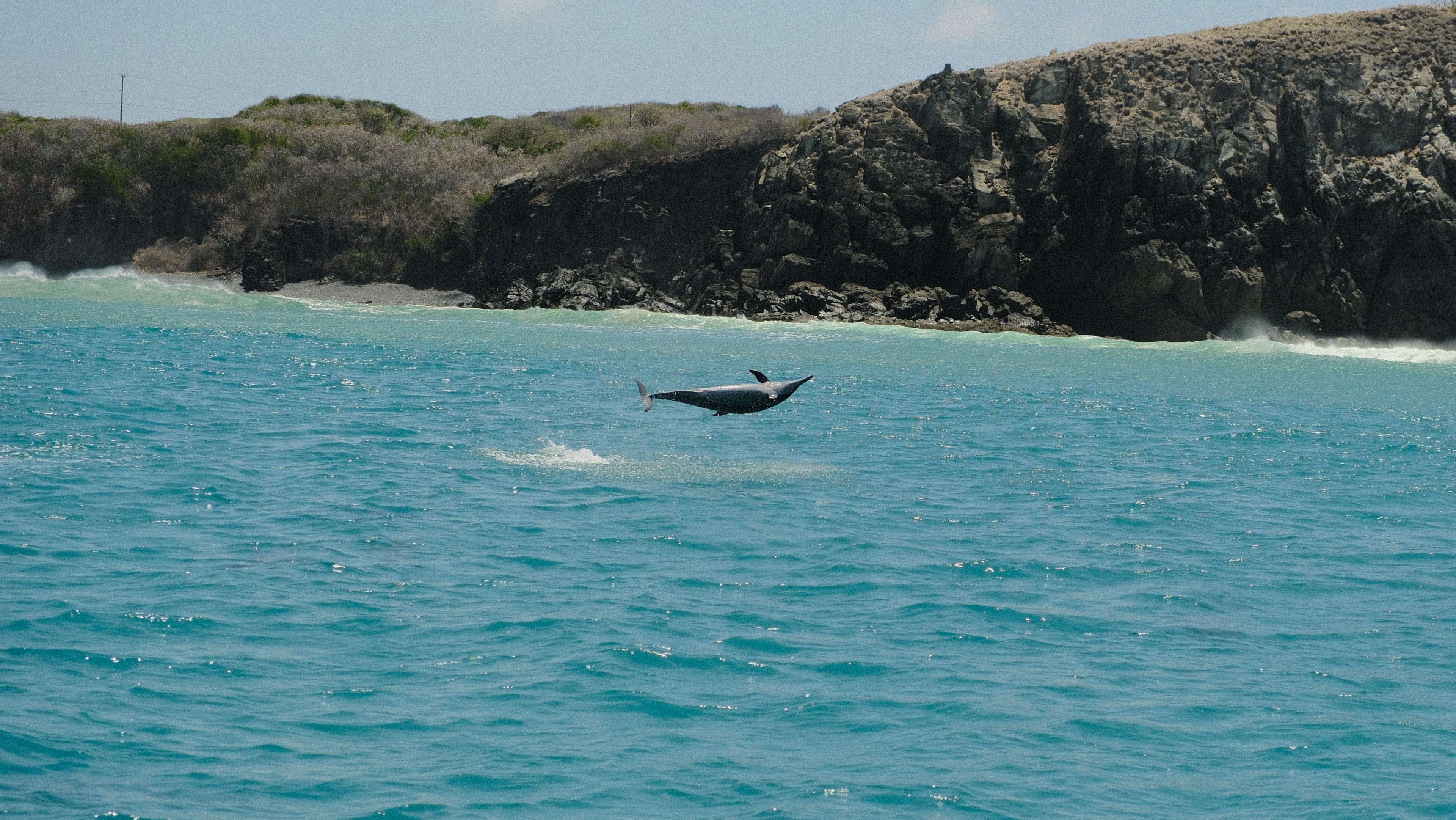 Photography by Hermann Stern