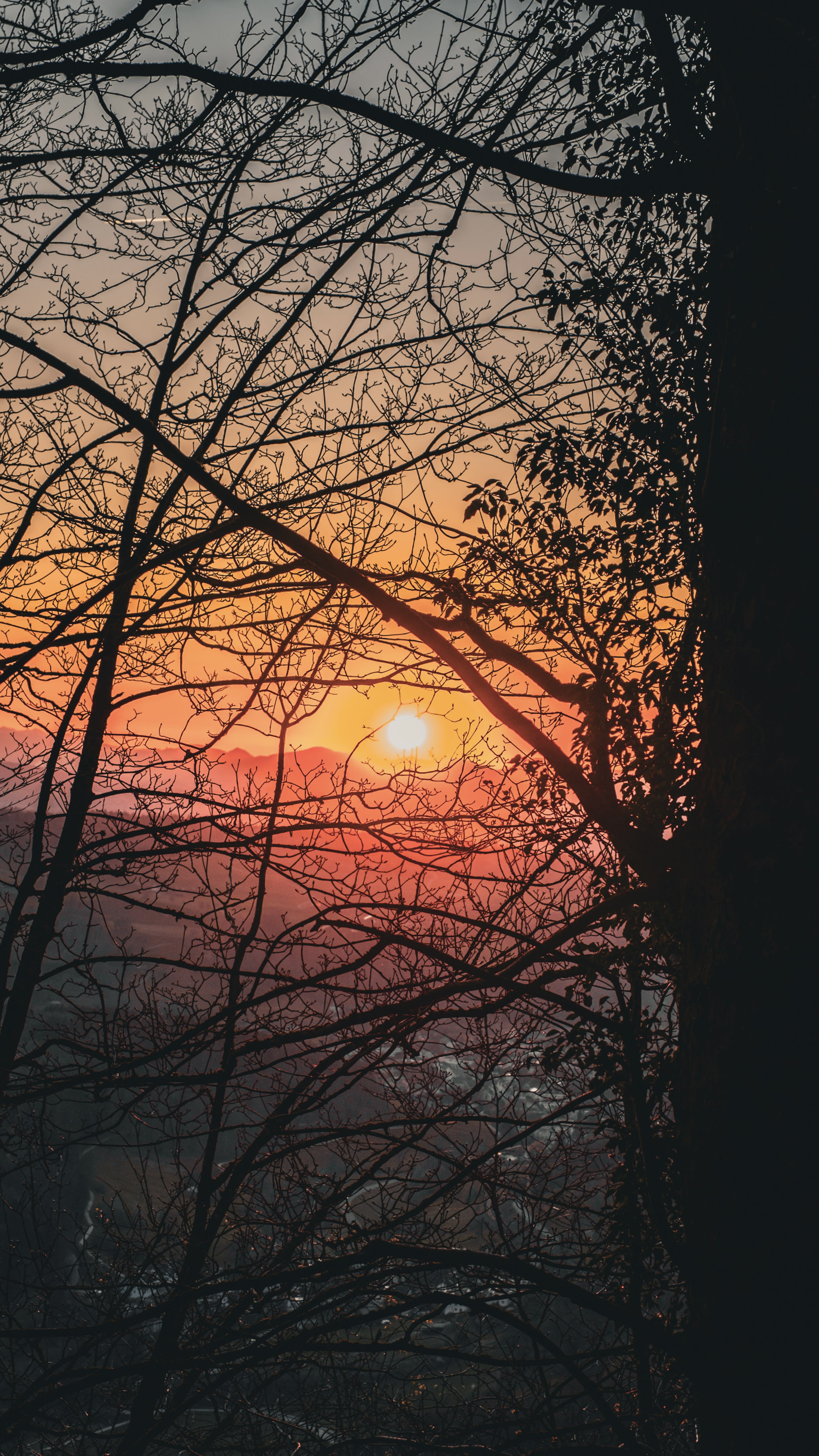 Photography by Hermann Stern