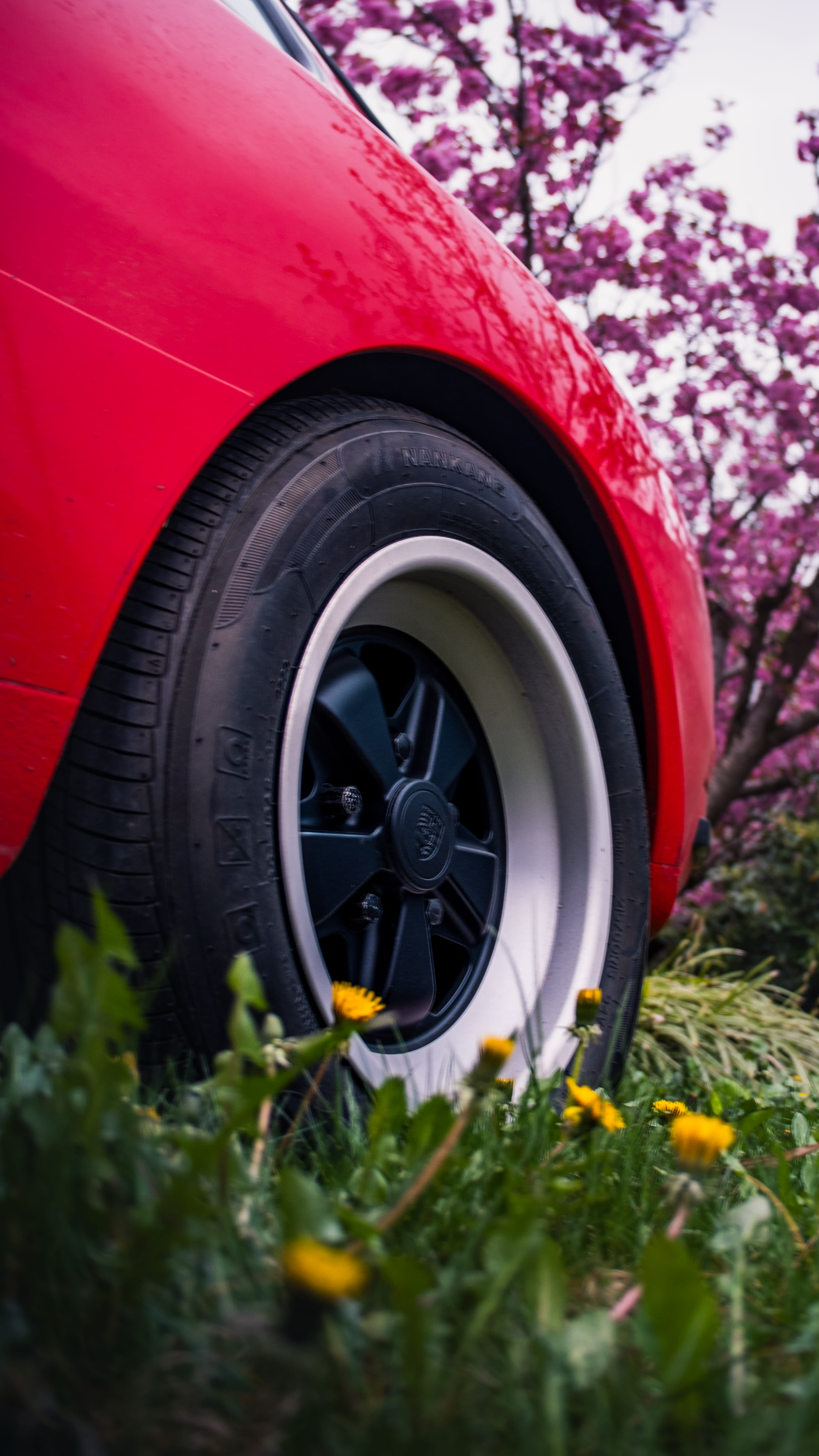 Photography by Hermann Stern