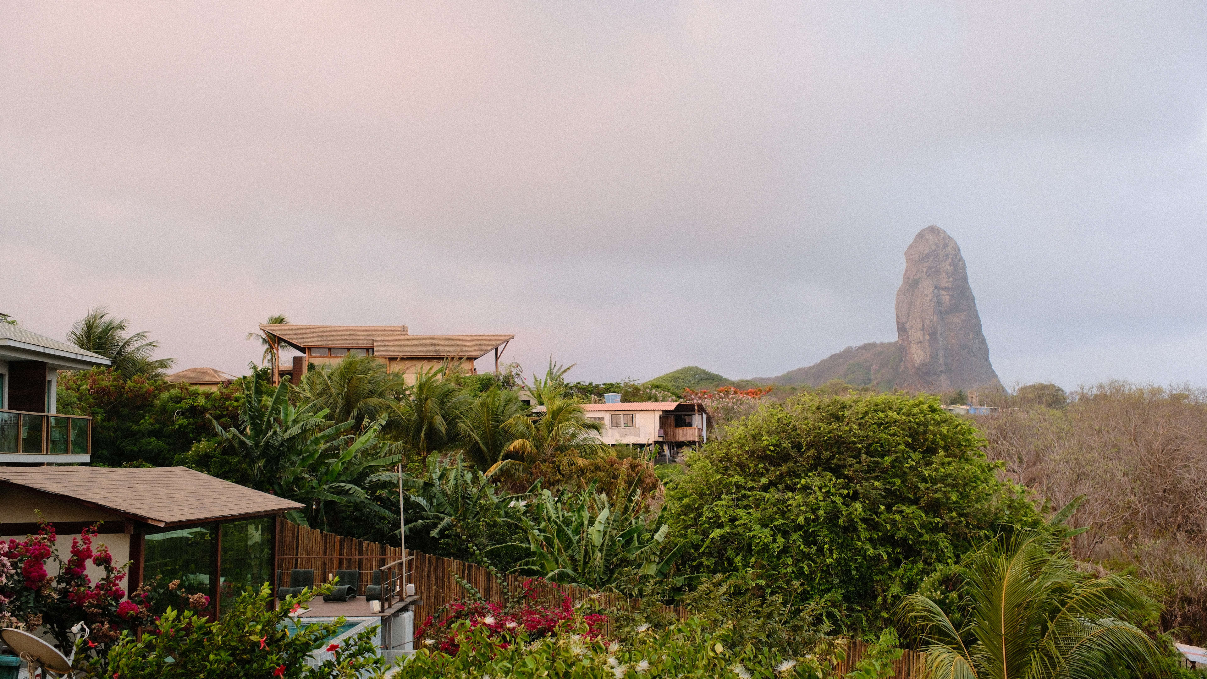 Photography by Hermann Stern