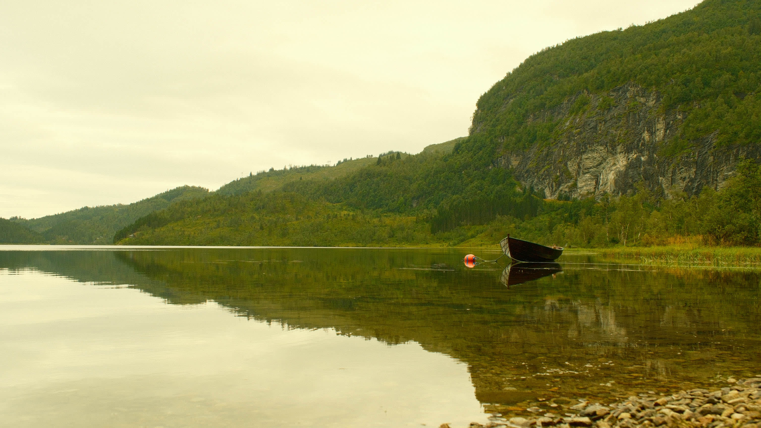 Photography by Hermann Stern