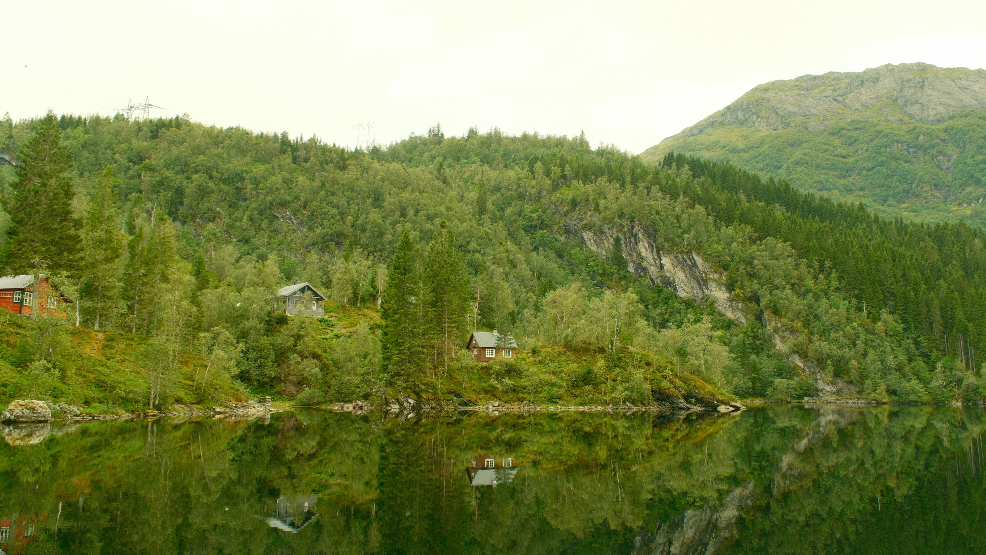 Photography by Hermann Stern