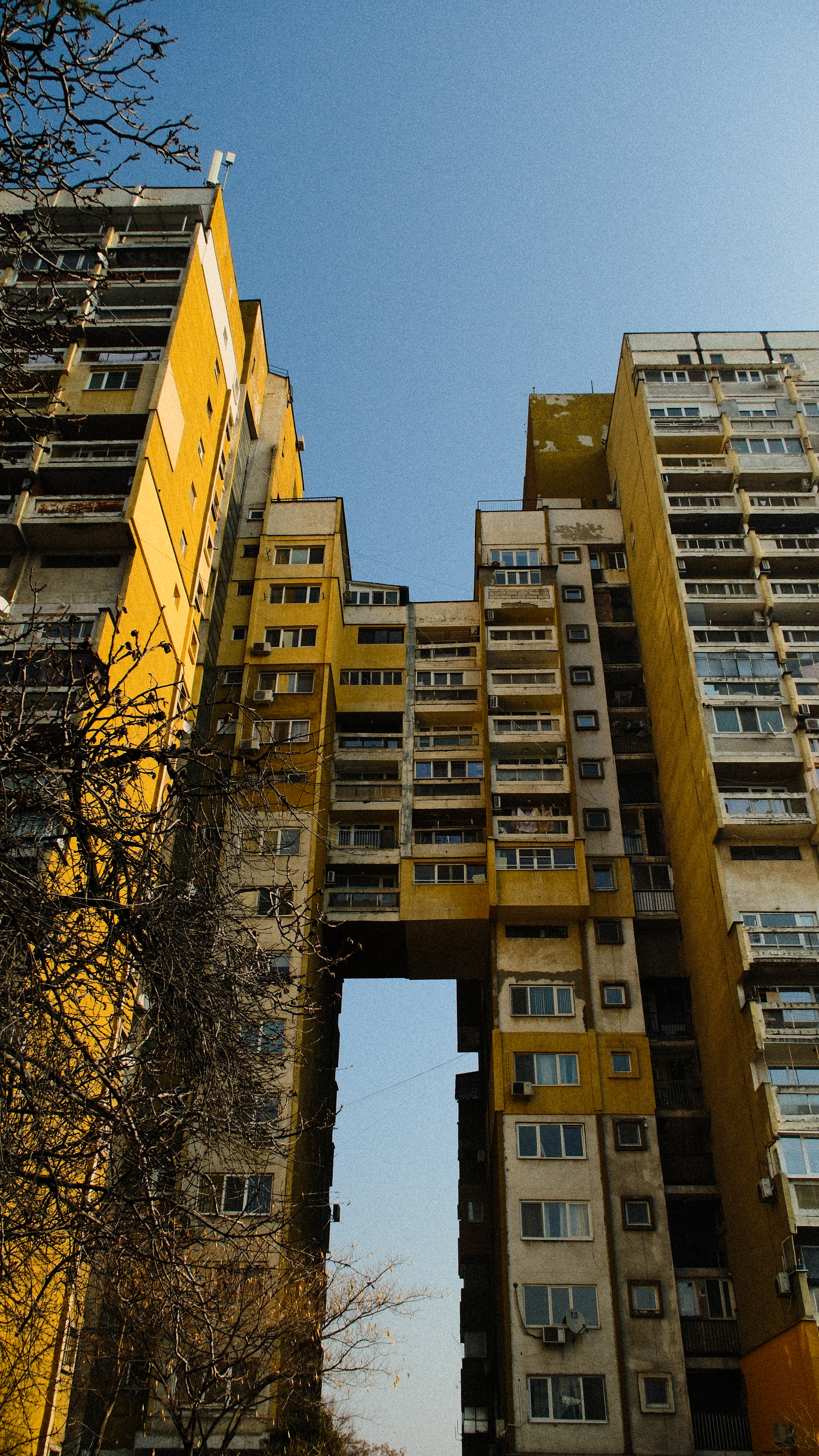 Photography by Hermann Stern