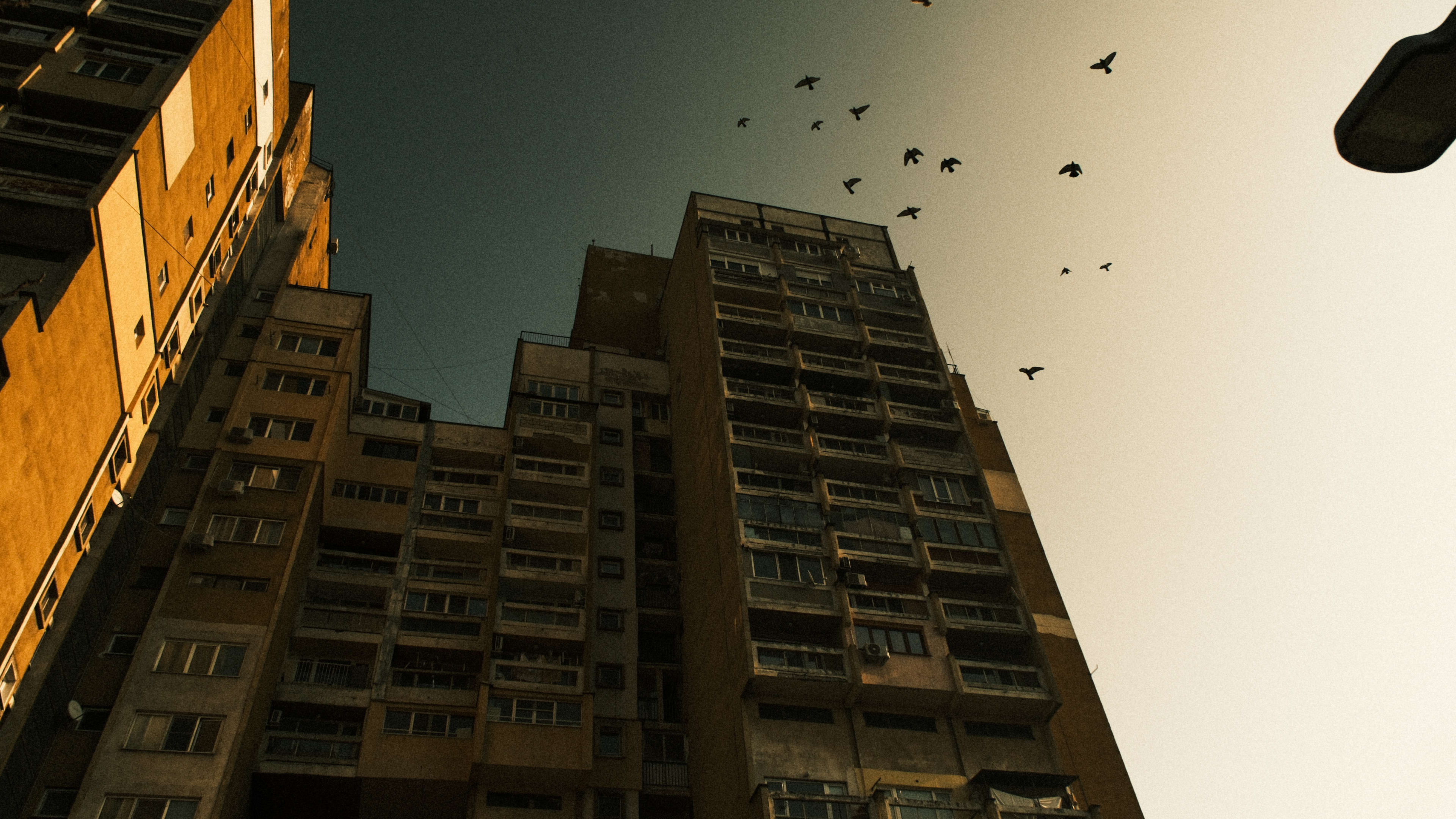 Photography by Hermann Stern