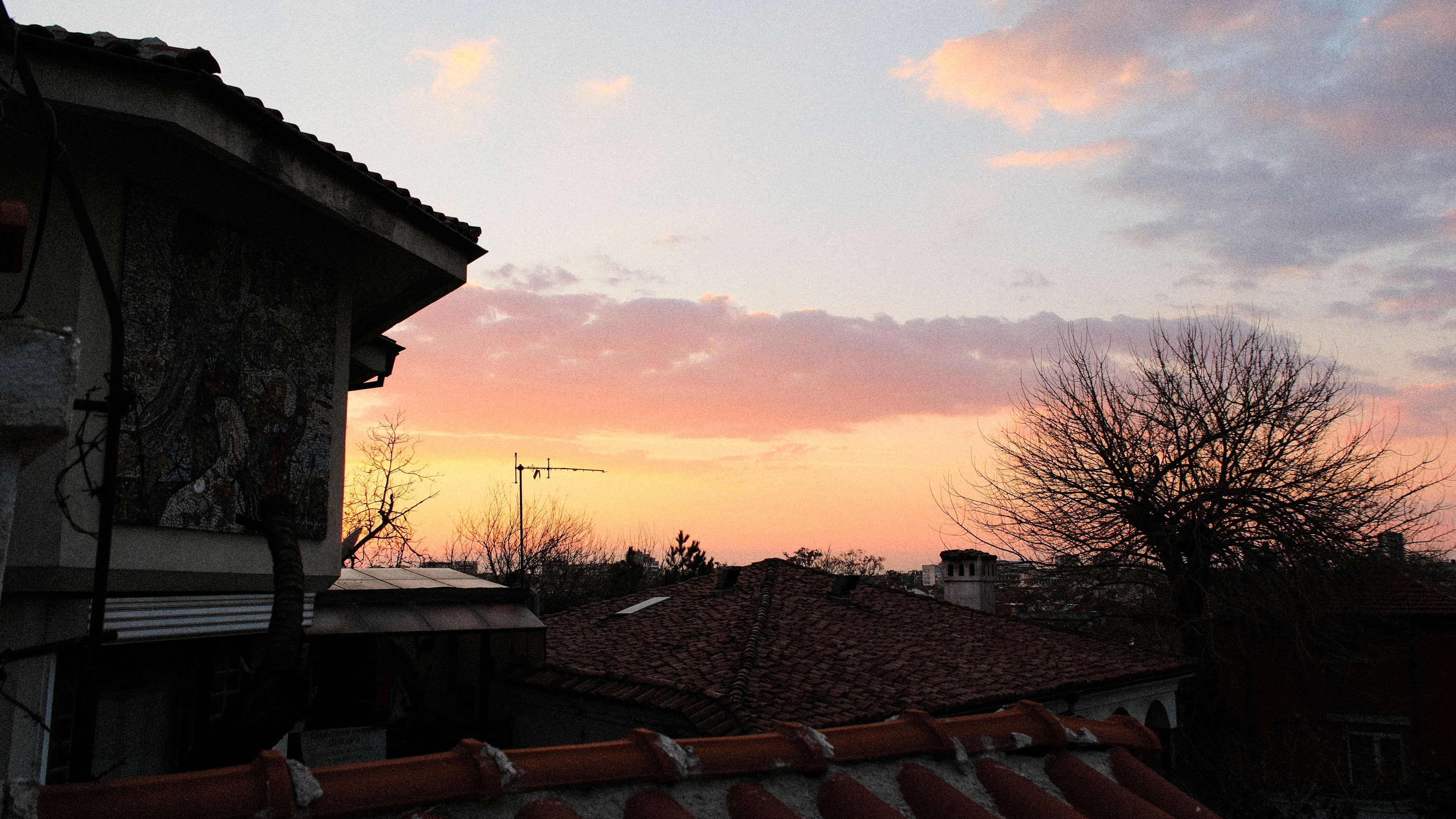 Photography by Hermann Stern