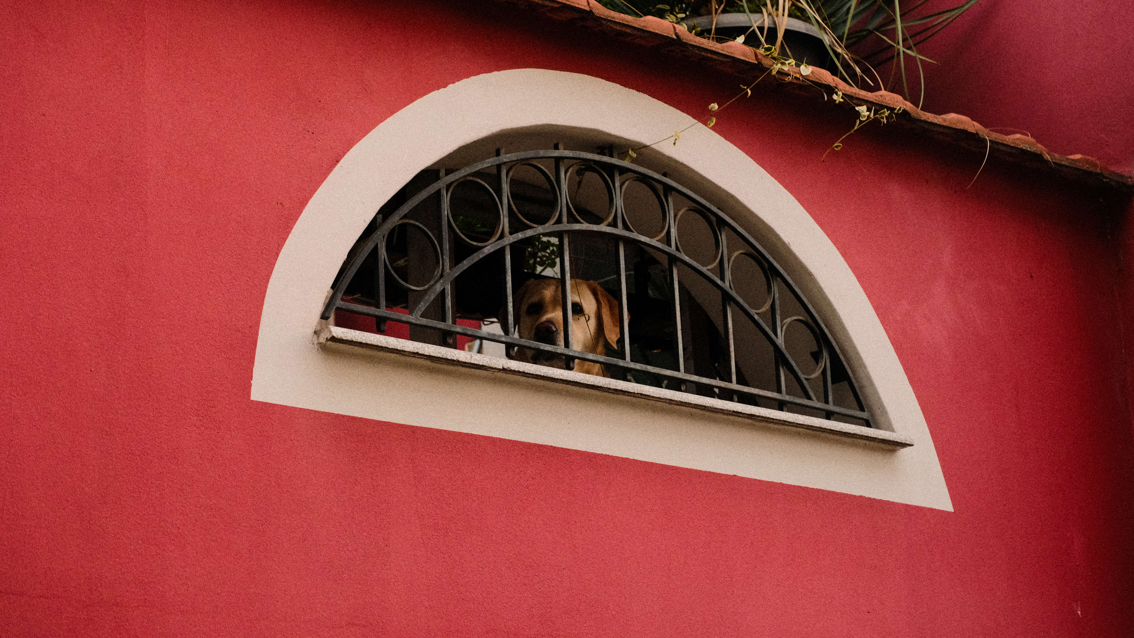 Photography by Hermann Stern