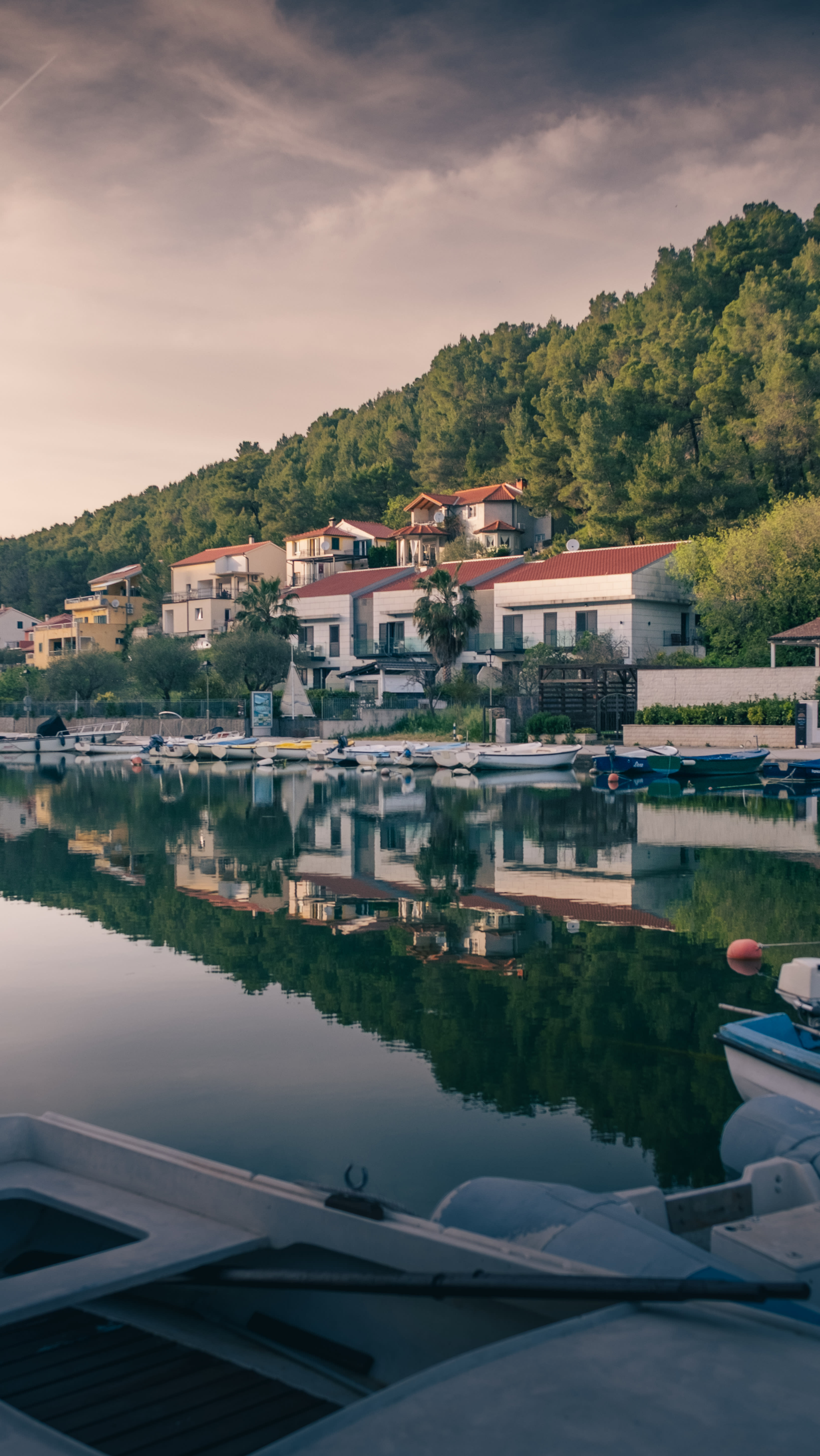 Photography by Hermann Stern