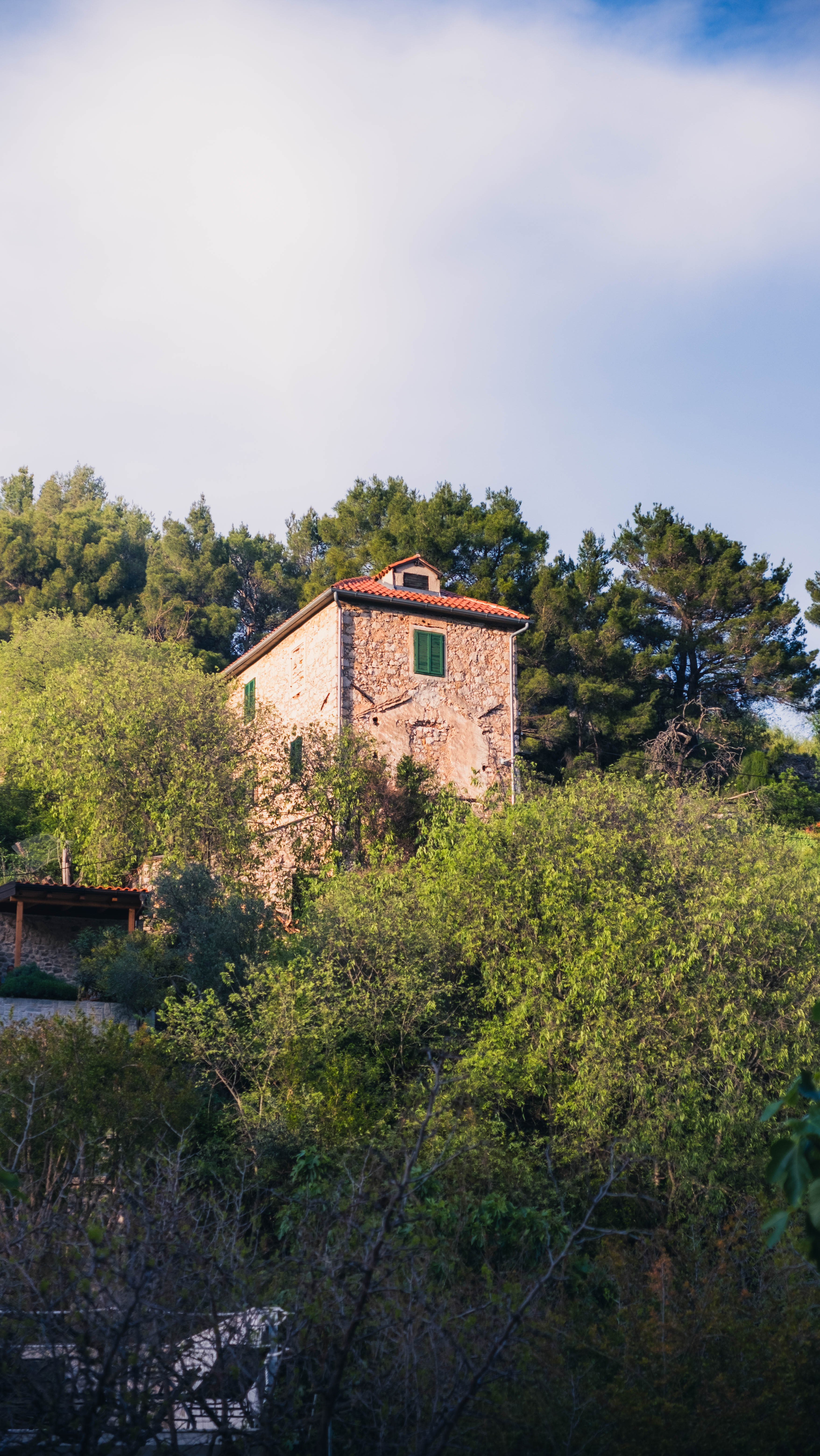 Photography by Hermann Stern