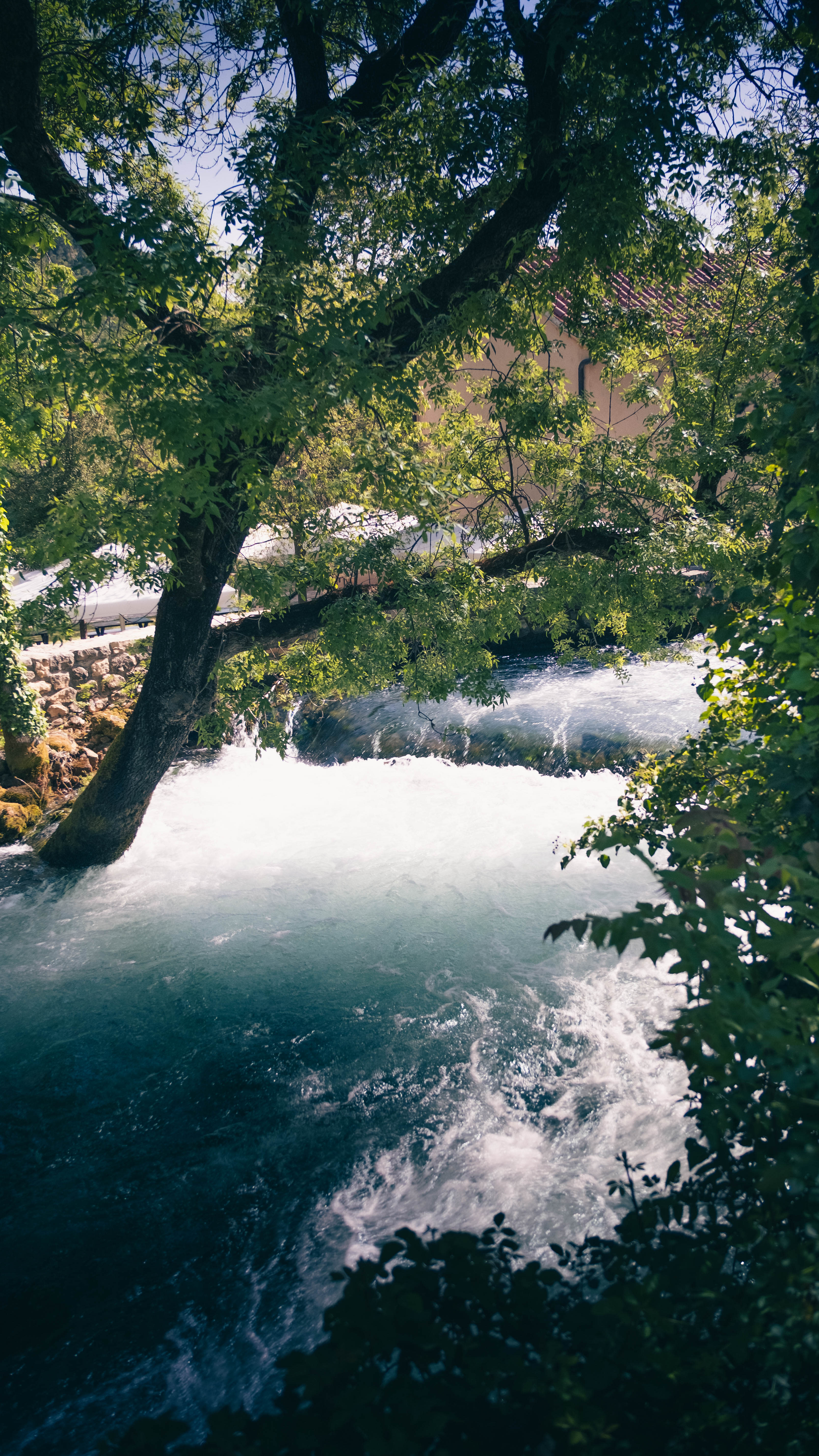 Photography by Hermann Stern