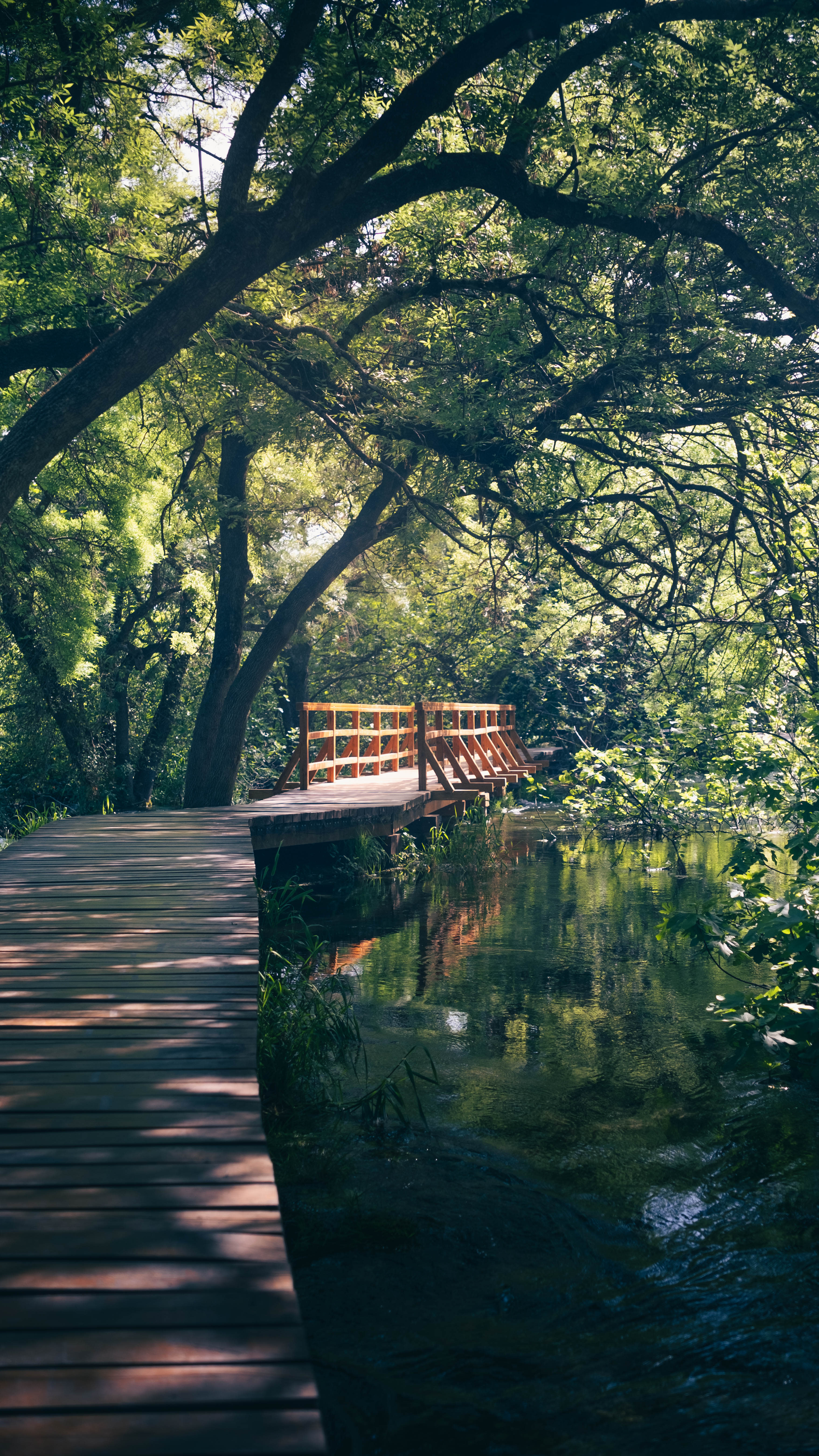 Photography by Hermann Stern