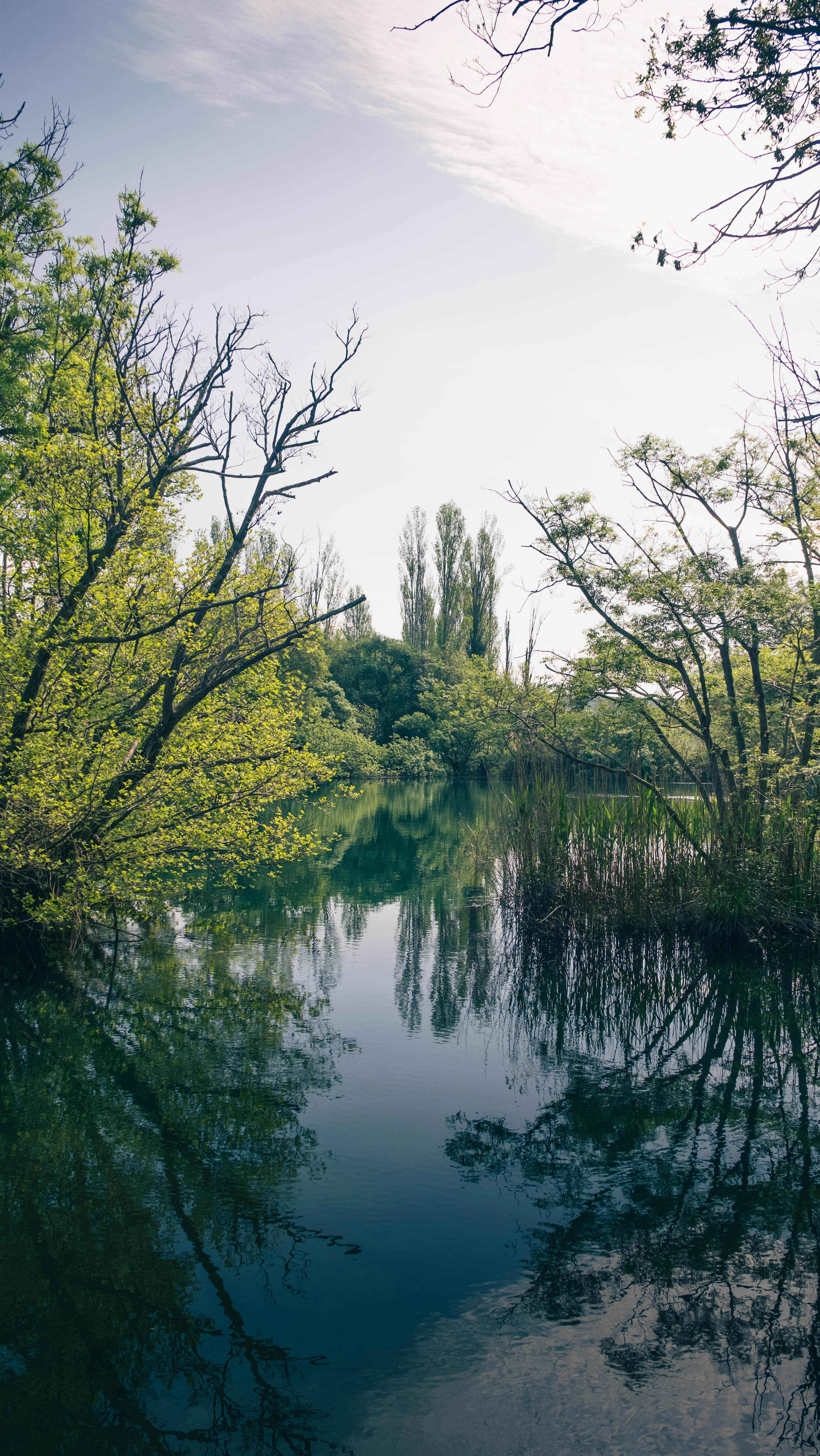 Photography by Hermann Stern