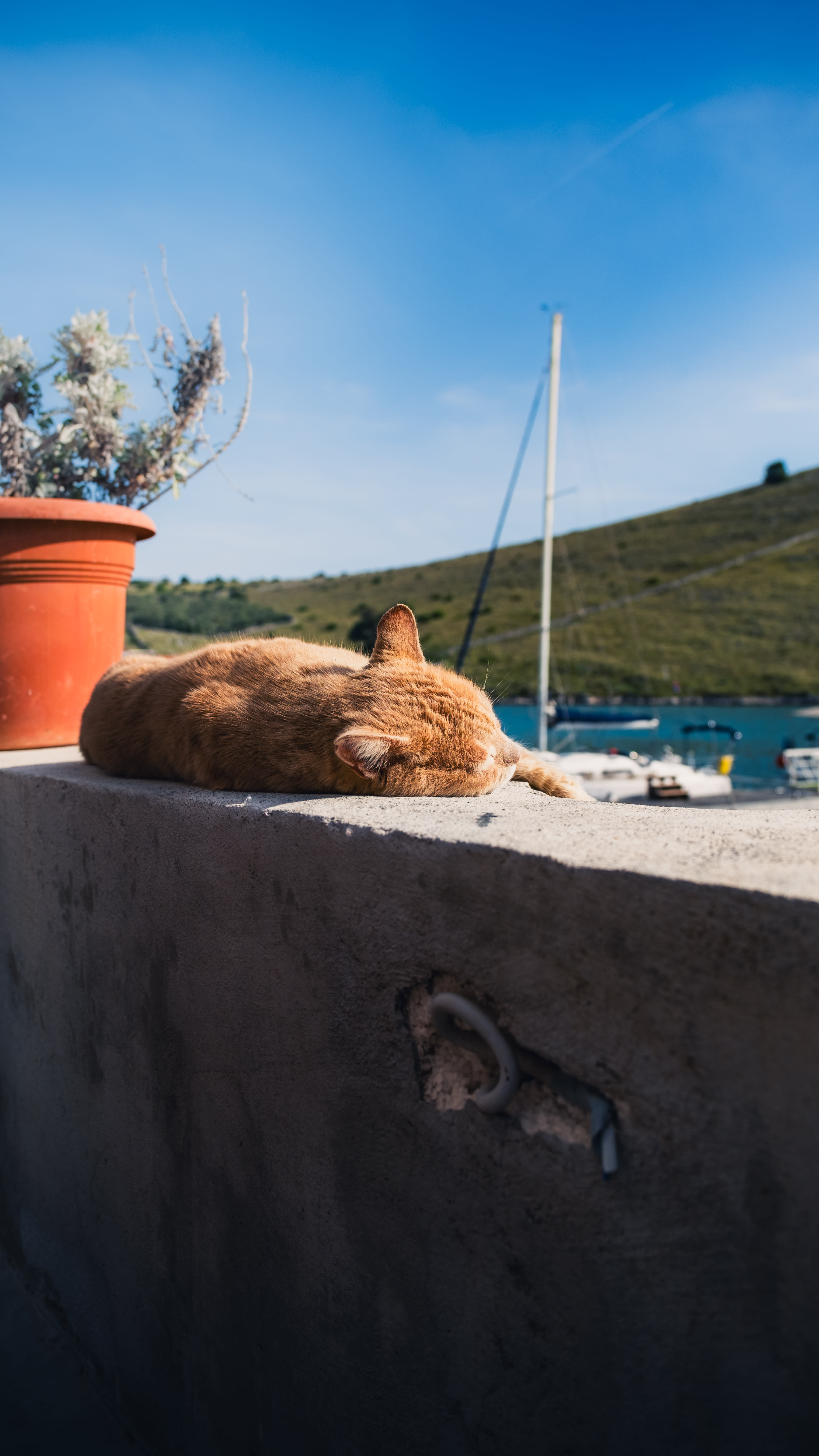 Photography by Hermann Stern